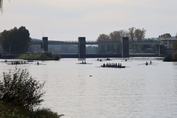 Bocksbeutelregatta 2024