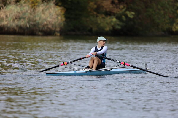 Bocksbeutelregatta 2025
