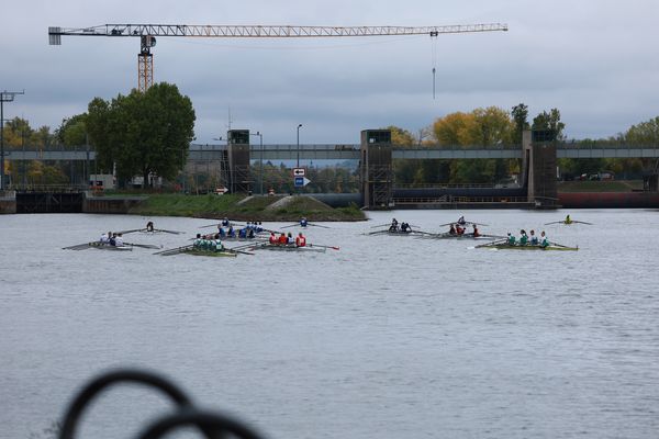 Bocksbeutelregatta 2026