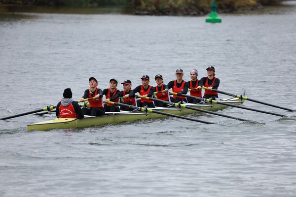 Bocksbeutelregatta 2026