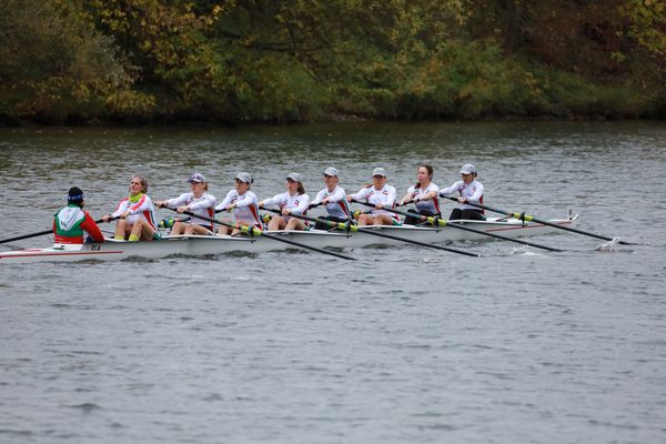 Bocksbeutelregatta 2026