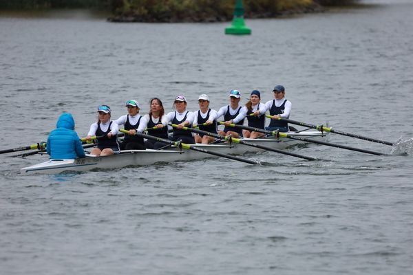 Bocksbeutelregatta 2026