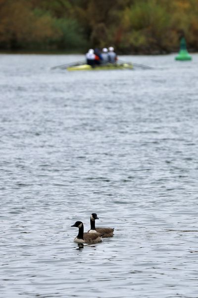 Bocksbeutelregatta 2026
